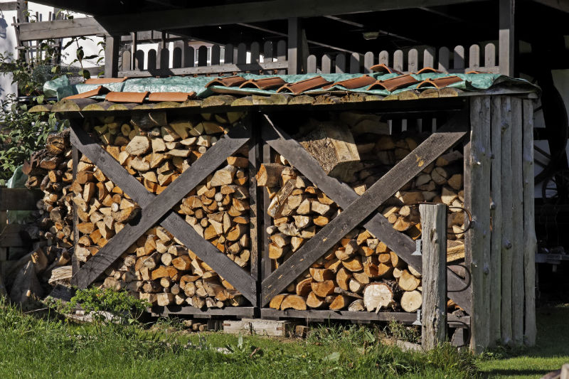 Time to Season Your Firewood - Indianapolis IN