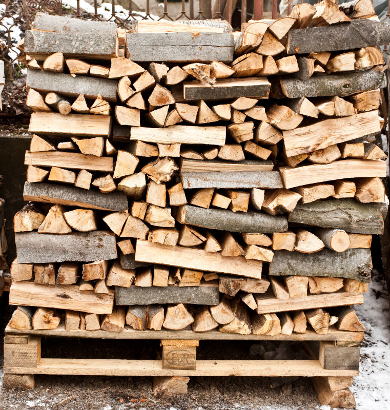 The Best Types of Firewood to Use