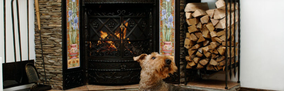 Animal Fireplace Safety - Indianapolis IN - Mad Hatter Indy