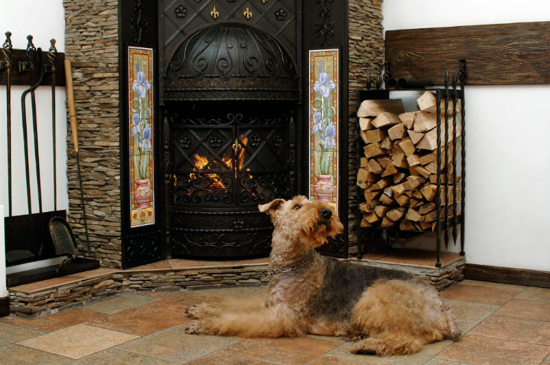 Animal Fireplace Safety