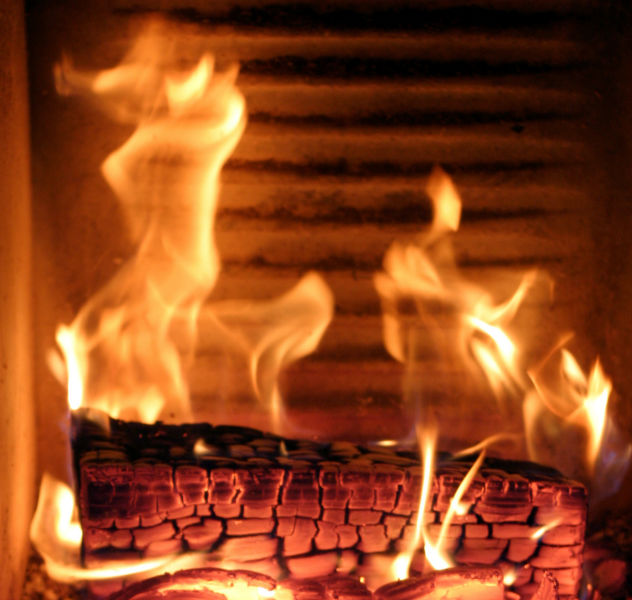 We Sell and Service Wood-Burning Stoves